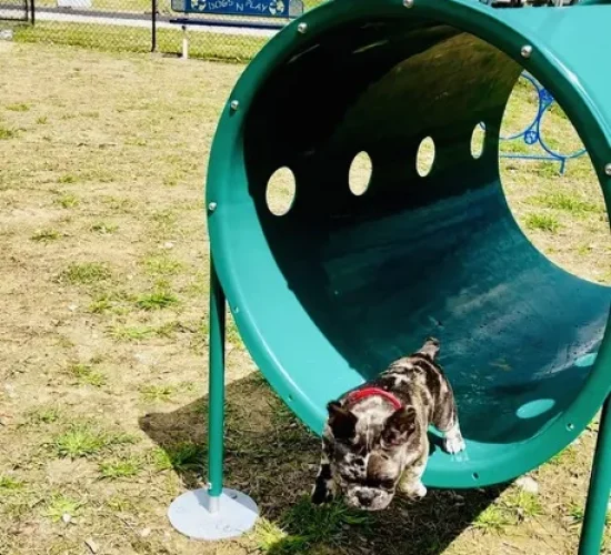 cabin_creek_campground_dog_park_2025_01_optimized